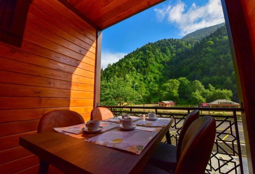 هتل Vadi̇ Uzungöl