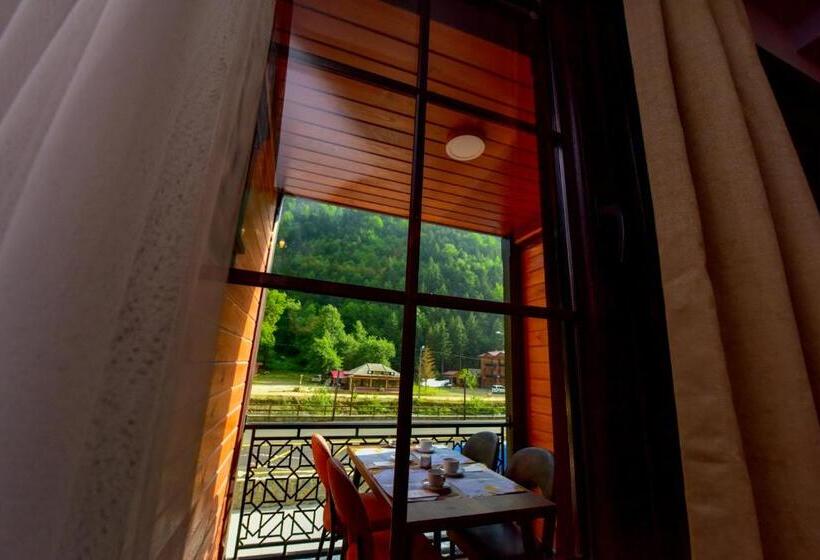 هتل Vadi̇ Uzungöl