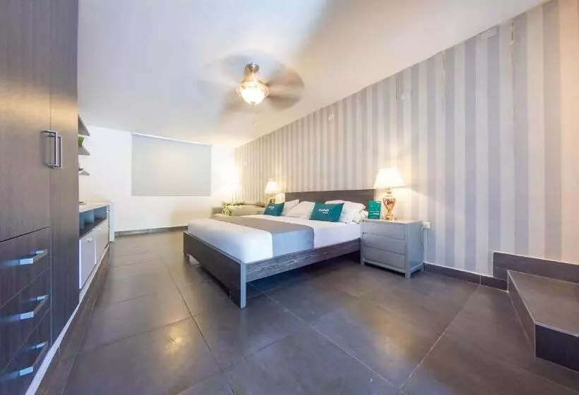 هاستل Casa Roman