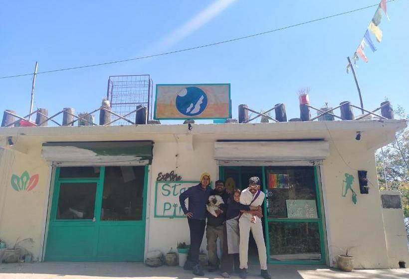 호스텔 Stars & Pines