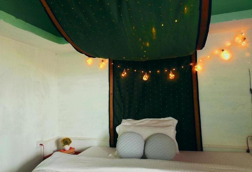 호스텔 Stars & Pines