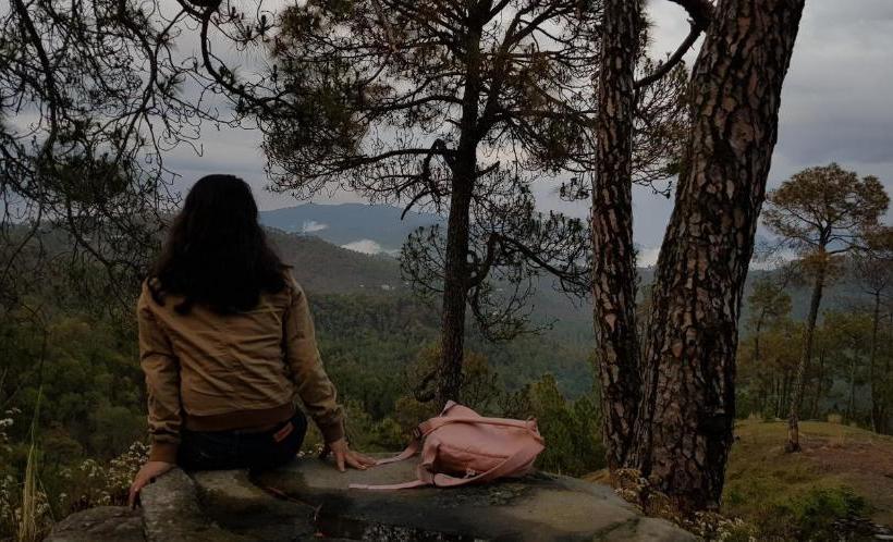 호스텔 Stars & Pines