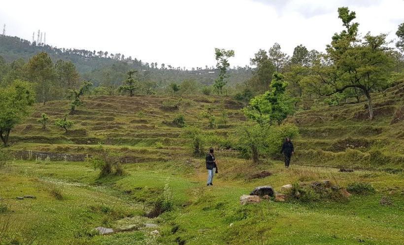 호스텔 Stars & Pines