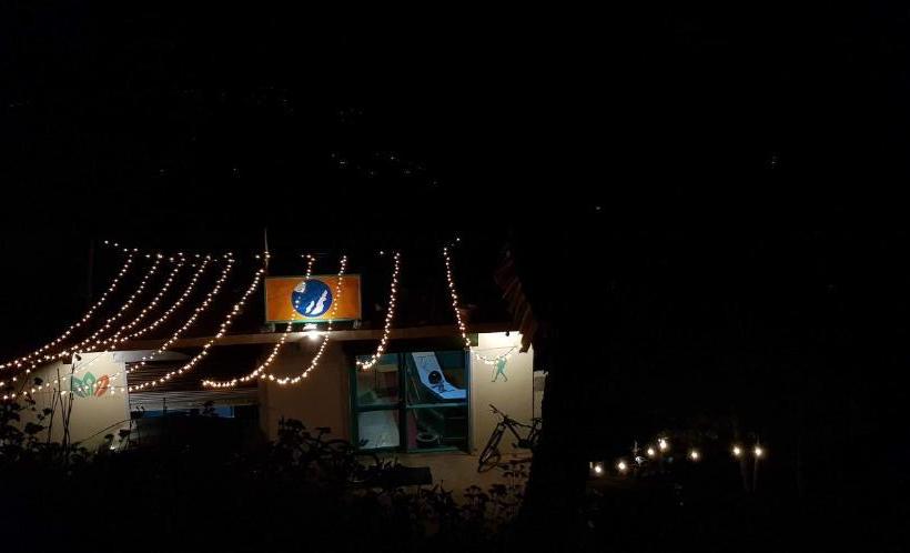 호스텔 Stars & Pines