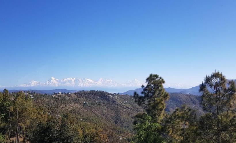 호스텔 Stars & Pines