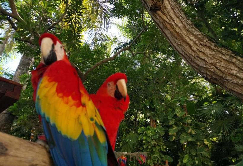 هتل Pura Vida Backpackers Golfito