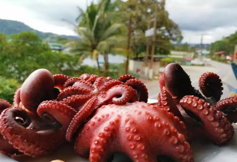 هتل Pura Vida Backpackers Golfito