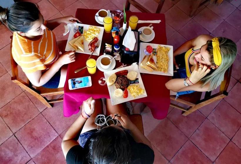 هتل Pura Vida Backpackers Golfito