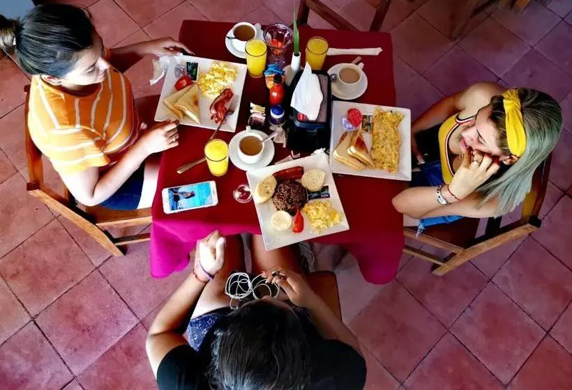 هتل Pura Vida Backpackers Golfito