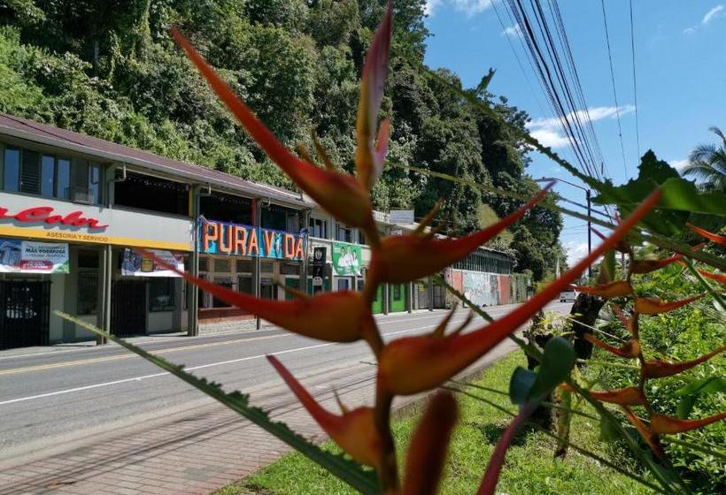هتل Pura Vida Backpackers Golfito