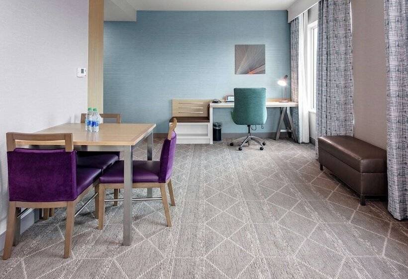 فندق Hilton Garden Inn Colorado Springs Downtown