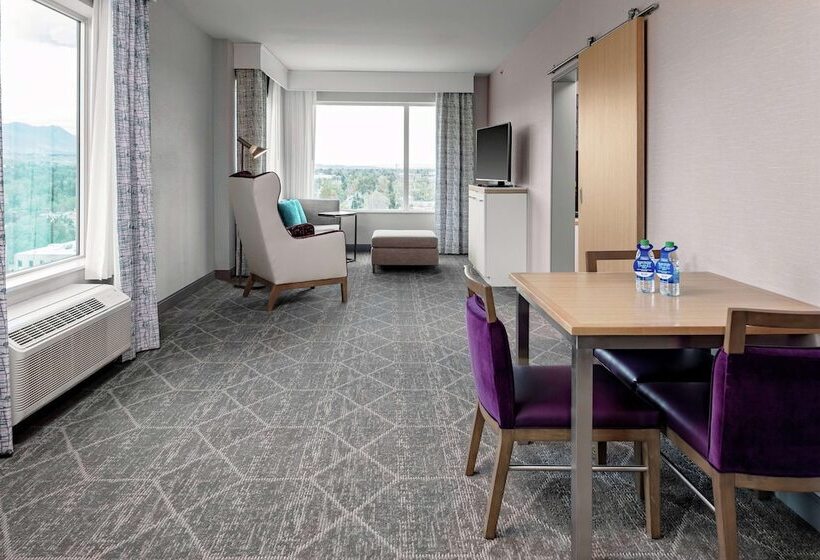 فندق Hilton Garden Inn Colorado Springs Downtown