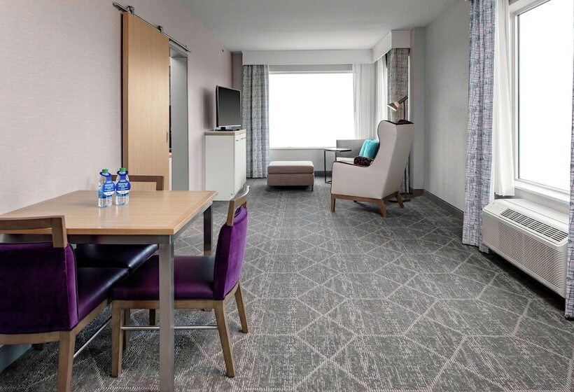 فندق Hilton Garden Inn Colorado Springs Downtown