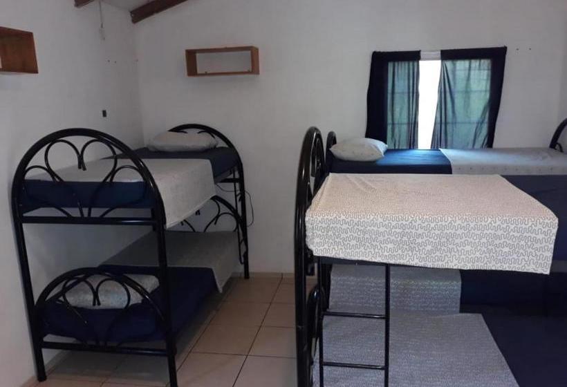 هاستل Hostal El Balsamo