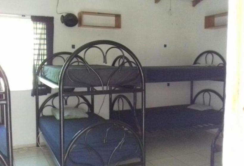 هاستل Hostal El Balsamo