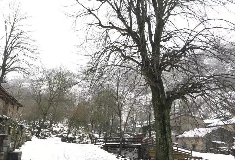 Albergue Villa De Bulnes