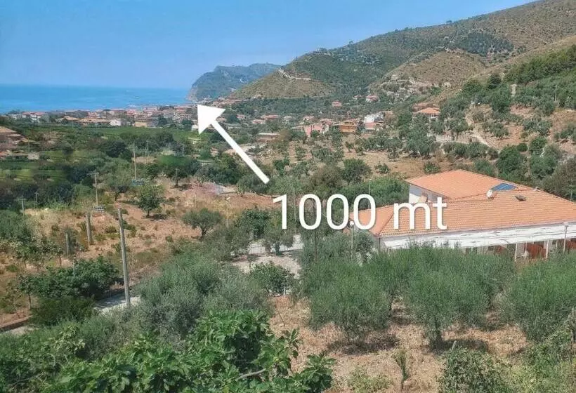 Tenuta Marga