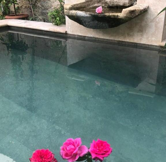 Bed and Breakfast Le Clos De La Cathedrale