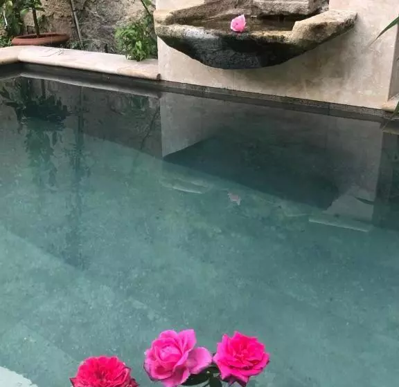 Aamiaismajoitus (B&B) Le Clos De La Cathedrale