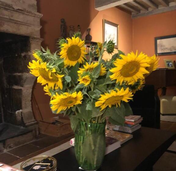 Bed and Breakfast Le Clos De La Cathedrale