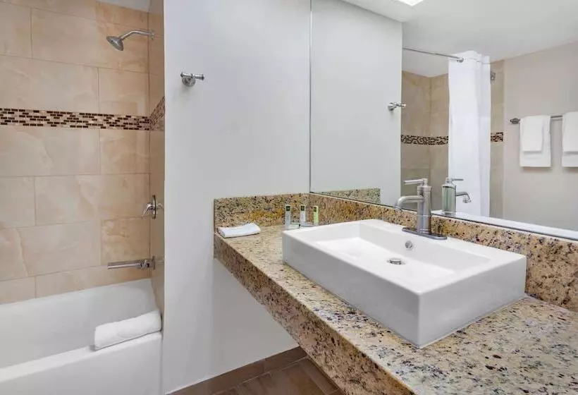ホテル Days Inn By Wyndham Piedras Negras