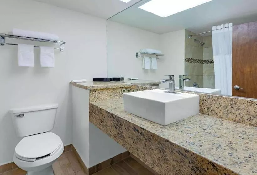 ホテル Days Inn By Wyndham Piedras Negras