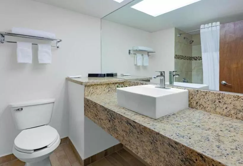 ホテル Days Inn By Wyndham Piedras Negras