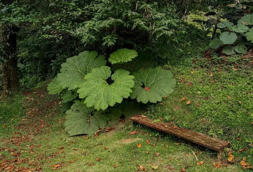 هاستل Burbi Lake Lodge Monteverde