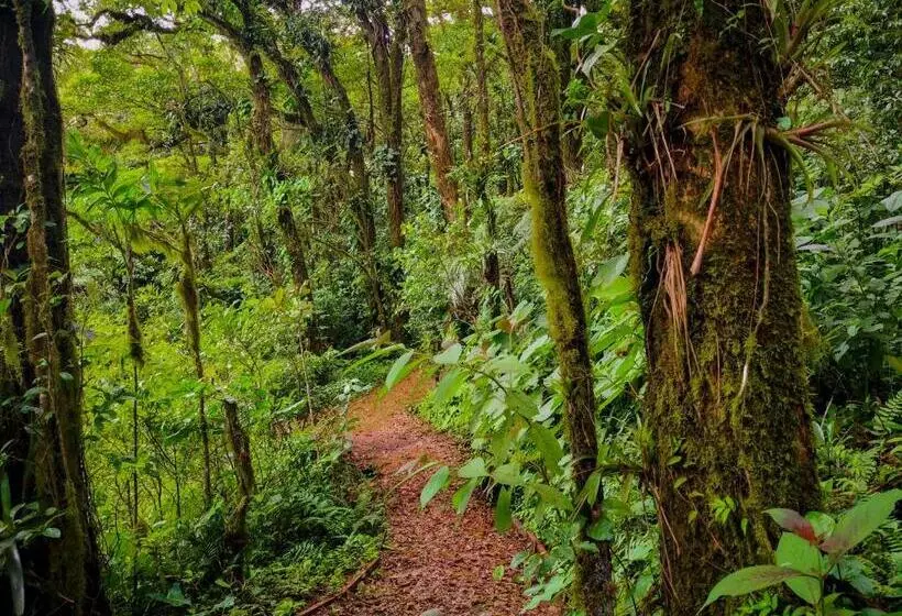 هاستل Burbi Lake Lodge Monteverde