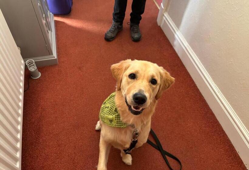 مبيت وإفطار Winchester House