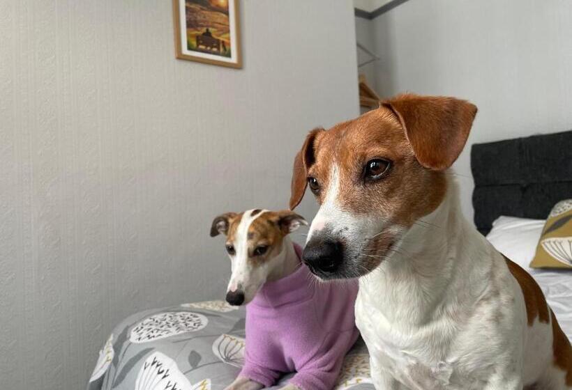 مبيت وإفطار Winchester House