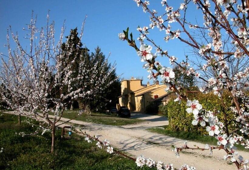 בית מלון כפרי Agriturismo Le Magnolie