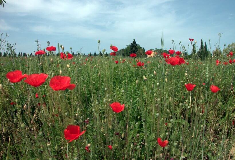 בית מלון כפרי Agriturismo Le Magnolie
