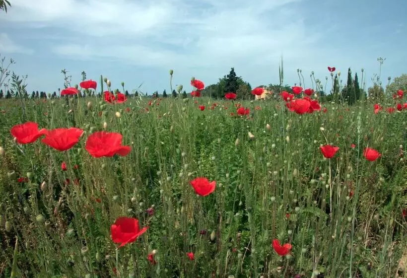 ホテル Agriturismo Le Magnolie