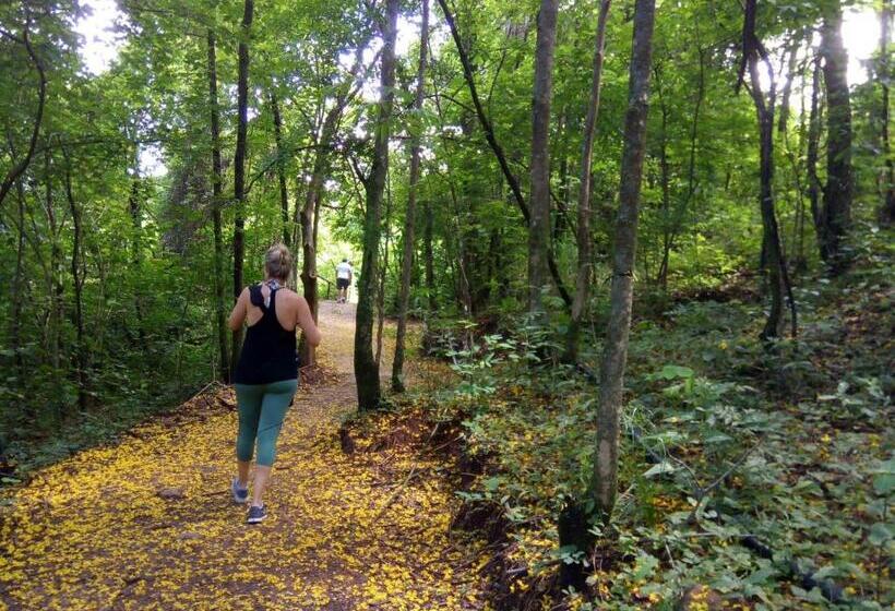 Общежитие Viva Brotas