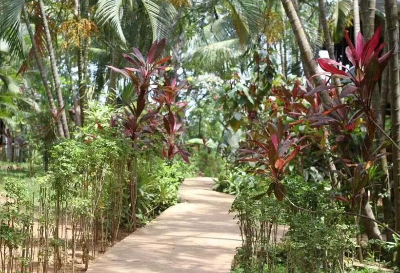 هتل Mame Trees
