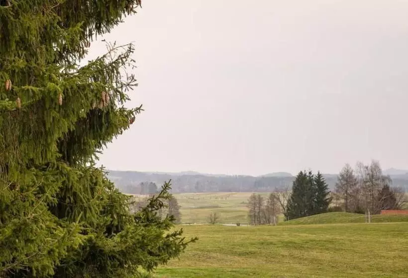 Hotelli Rezidence Pihel