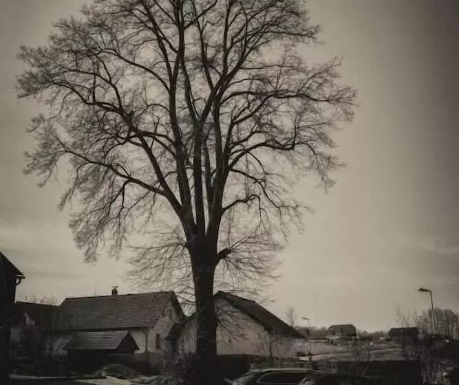 Hotelli Rezidence Pihel