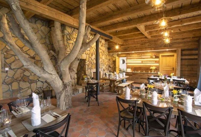 Hotelli Rezidence Pihel