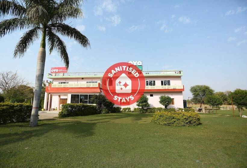 Oyo 29925 Hotel Green House