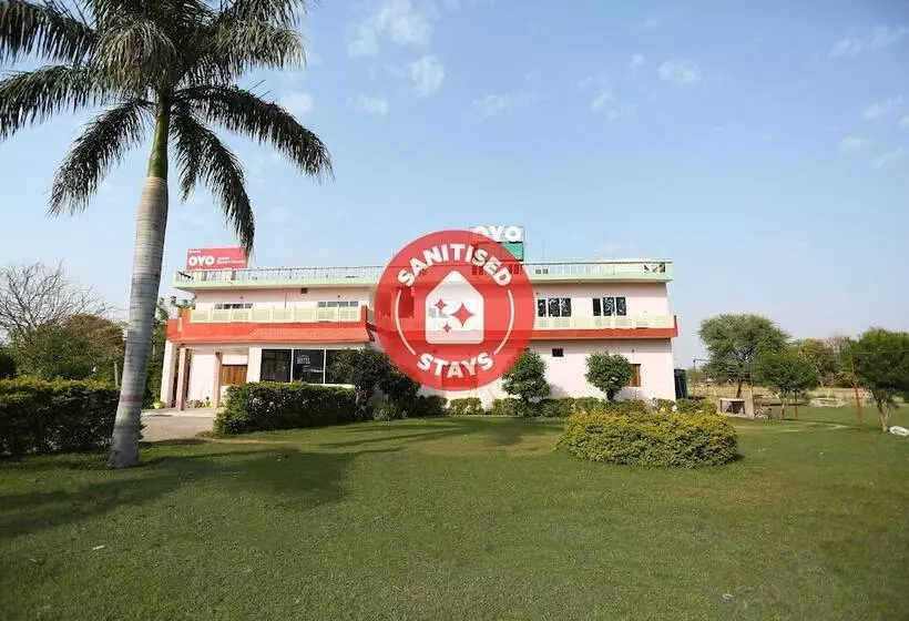 Oyo 29925 Hotel Green House