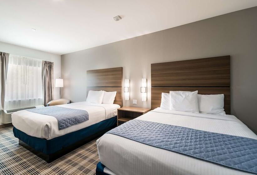 فندق Americas Best Value Inn & Suites Porter North Houston