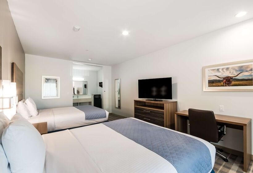 فندق Americas Best Value Inn & Suites Porter North Houston