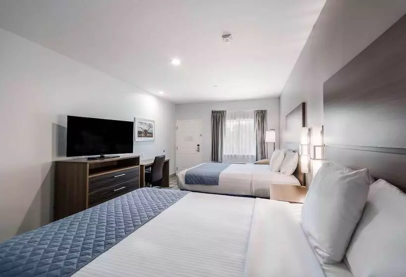 Hotelli Americas Best Value Inn & Suites Porter North Houston