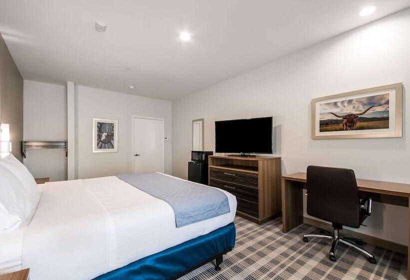 فندق Americas Best Value Inn & Suites Porter North Houston