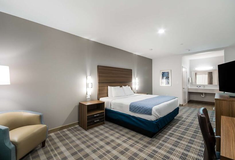 فندق Americas Best Value Inn & Suites Porter North Houston