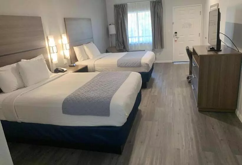 Hotelli Americas Best Value Inn & Suites Porter North Houston