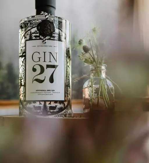 Bed and Breakfast Wildstrubel Lodge