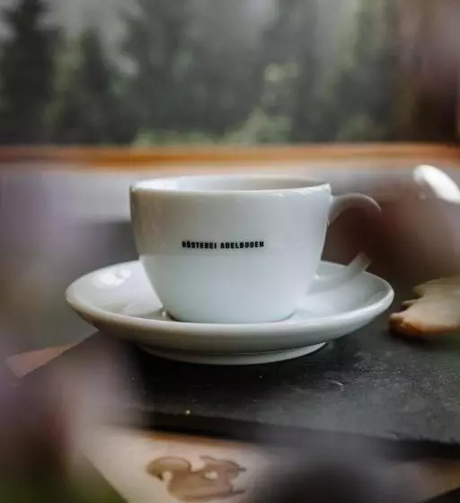 Bed and Breakfast Wildstrubel Lodge