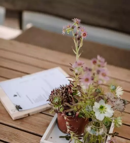 Bed and Breakfast Wildstrubel Lodge